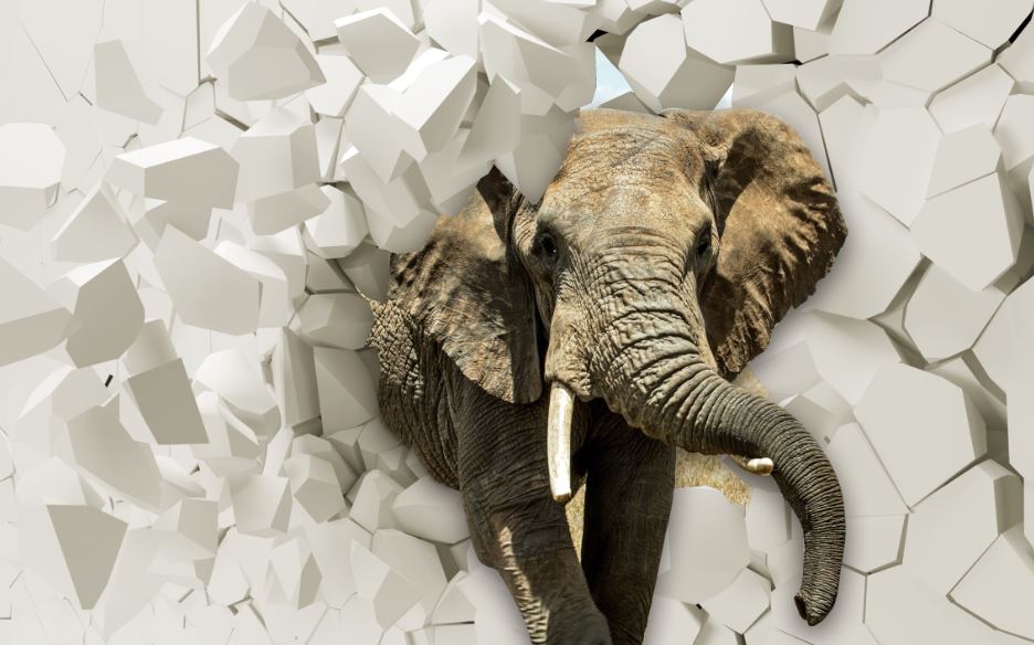کاغذ دیواری سه بعدی طرح فیل